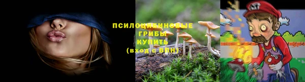 гидропоника Абдулино