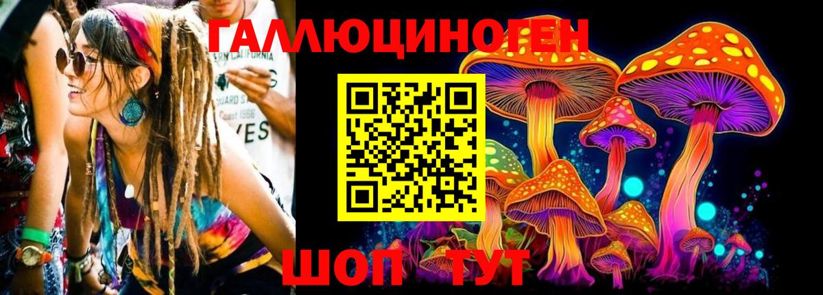 Ярославль  Галлюциногенные грибы MAGIC MUSHROOMS  Псилоцибиновые грибы GOLDEN TEACHER  Вход с VPN 